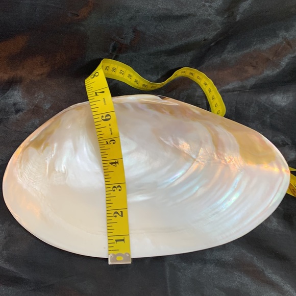 Polished Pearlized Large Clamshell Serving Dish and 4 Conch & Clamshell Spoon - Picture 9 of 12